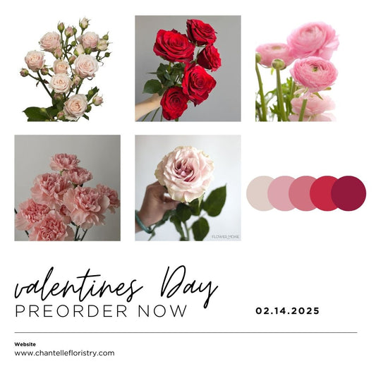 Valentines Day Medium Premium Bouquet